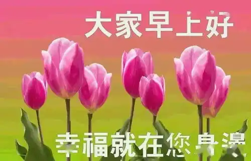最新版非常漂亮的早上好表情图片温馨早安心语语录

