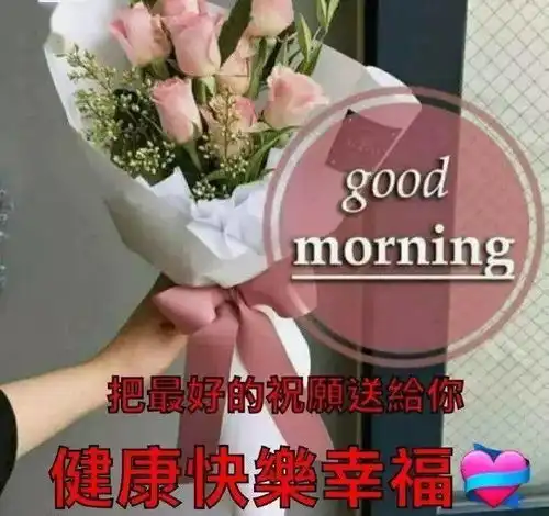 早上好问候大家早上好的漂亮表情图片,最美早晨好问候祝福语图片

