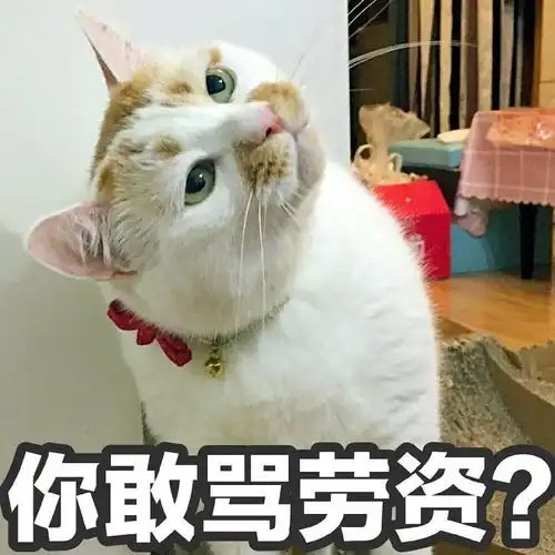 认怂表情包可爱猫滑稽
