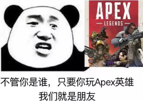 apex也被外挂盯上了,看官方态度就知道apex能活多久
