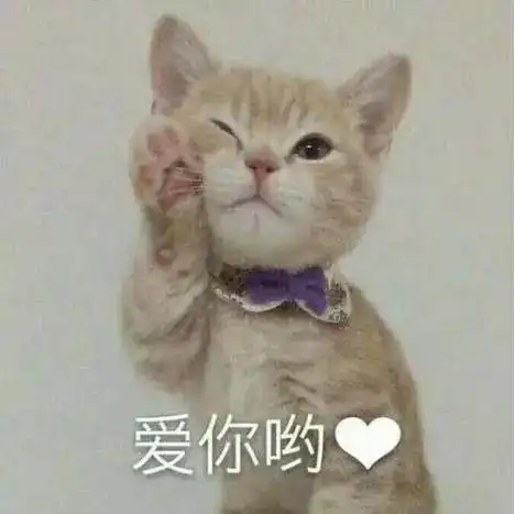 这个假期,我终于体会到狗的心情
