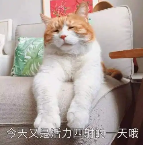 上期2头9尾,你中了吗快戳进来,这些大师的码不能错过
