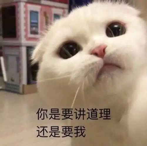 今日份热门表情包精选33张
