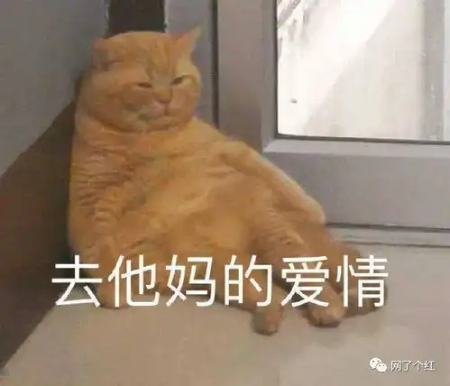 因为一顿饭我和男朋友分手了铁公鸡都没他抠
