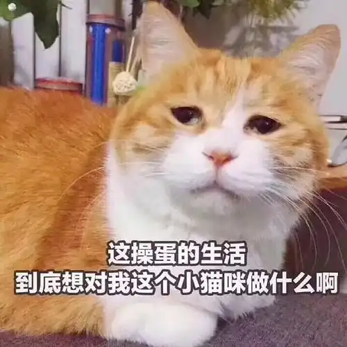 有谁看过墨非白的我养的反派都挂了

