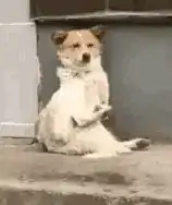 如果迪丽热巴扮演的乔晶晶高雯郝美丽三个明星角色在同一场活动中相遇,会发生怎样的故事

