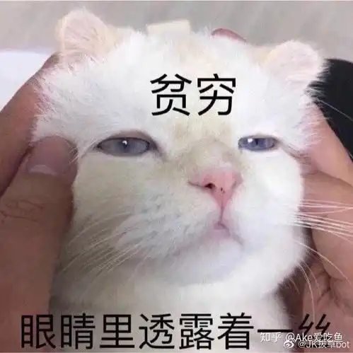 jk店铺现状都是被惯出来的吗
