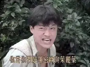80岁小三琼瑶被88岁原配手撕这tm都是为了爱情啊
