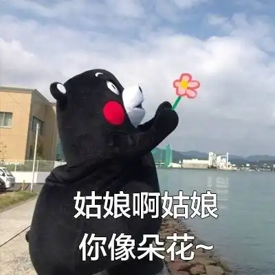 熊本熊撩妹撩汉表情包
