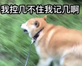 好奇害了狗狗子出门一趟竟毁了容,主人对凶手无可奈何
