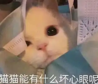 即将到来的能源革命非常规油气
