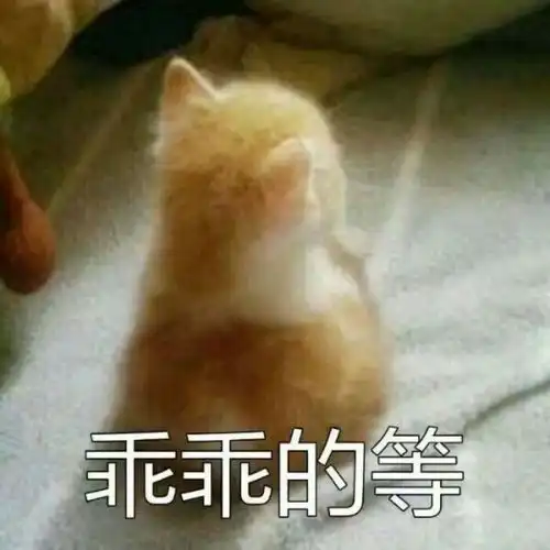 舞蹈艺考关于初中毕业择校是上高中艺术部还是艺校中专
