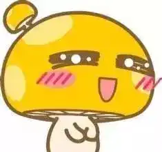 你最想了解的西农
