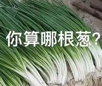 上千学生集体高唱单身情歌,过光棍节感觉好心酸啊