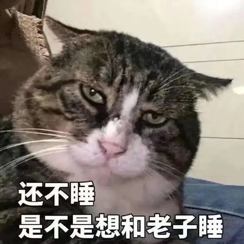 乐观的精神,幽默的心态,让生活充满美好
