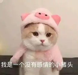 表情包丨亲亲建议您少bb两句呢
