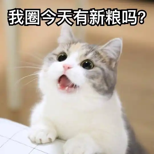 黑猫十一的相册我用别人家主子作过的表情包
