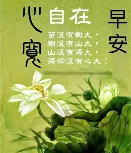 清晨发朋友圈必备的漂亮早上好祝福图片,祝你天天好心情
