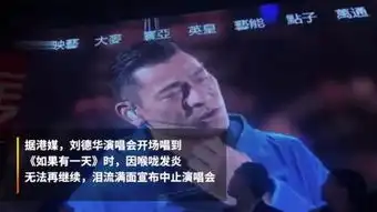 刘德华演唱会现场
