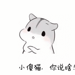 仓鼠问号表情包合集小傻猫,你说啥
