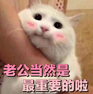 这么萌拿去哄老公他遭不住的
