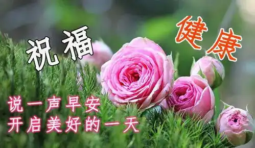 2020夏天问候大家早上好图片带字动态表情,问候早晨好祝福语短信图片
