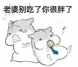 仓鼠夫妻傻逼老公ε堆糖,美好生活研究所
