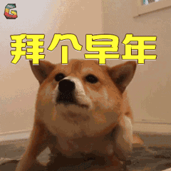 微信跳狗口令最潮狗年祝福语表情包来啦今天就用得上
