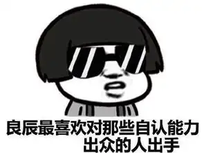我叫叶良辰走红引王思聪pk叶良辰是谁曝资料语录与表情包
