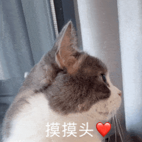 王思聪我命油我不油天丨第124期喵表情

