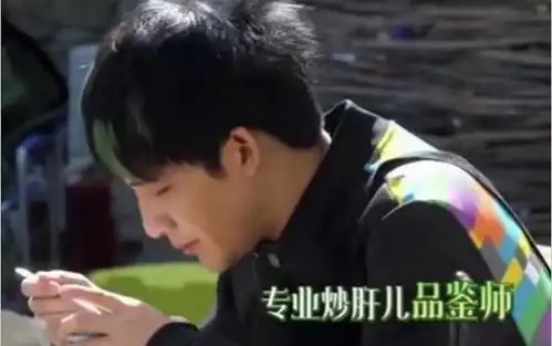 向往都播四季了,明星都夸黄磊做饭好吃,只有大张伟敢说真话
