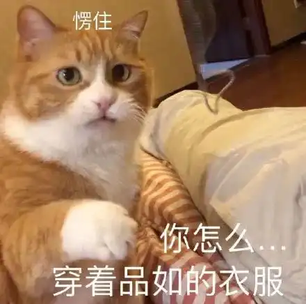 买长安univ和影豹的都是土嗨
