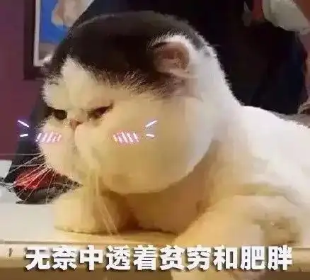 福建情侣因为十七八万彩礼钱大吵一架,网友说
