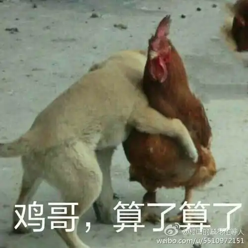 你手机里最搞笑的表情包有哪些可以关闭水印吗
