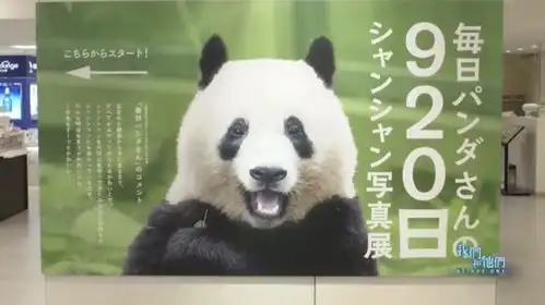 熊猫公主缔造旅日传奇,看它得摇号,便便也出展,亿万身家能再造一座晴空塔
