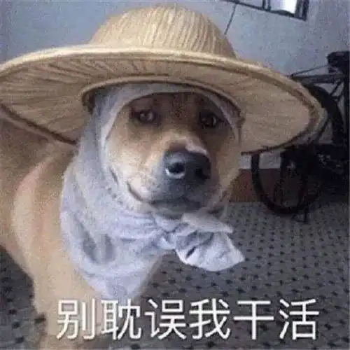 有没有跟我一样不喜欢过于营销的东西
