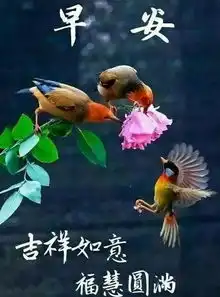 最棒最赞的正能量早上好问候语动态表情图,早安问候图片带字温馨
