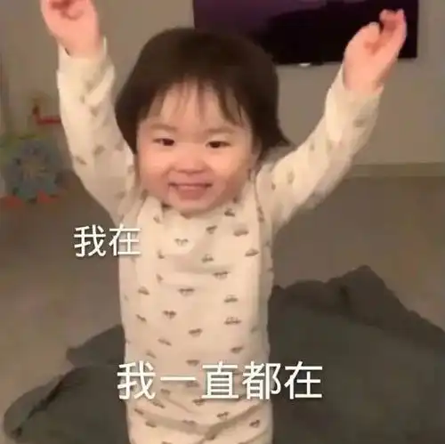表情包你怎么这么厉害
