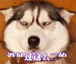 沙雕表情包i有种你来咬我呀
