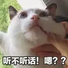 东莞女孩今年第一次去北方过冬,场面可以说是非常爆笑了
