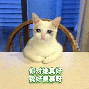 绿茶表情包对不起我不是有意的,我不想你们因为我吵架
