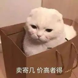 大佬说自己菜vs我说自己菜
