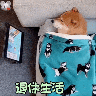 奇怪的表情包又增加了
