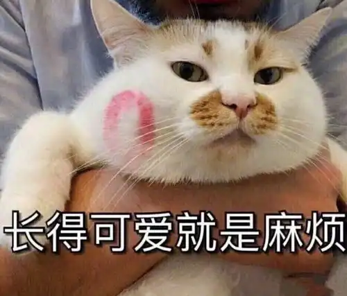 有人一起嘛,steam刚玩啦
