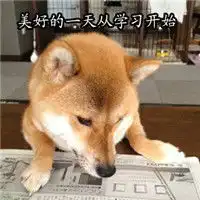 搞笑逗比柴犬之我爱学习柴犬搞笑带字表情包