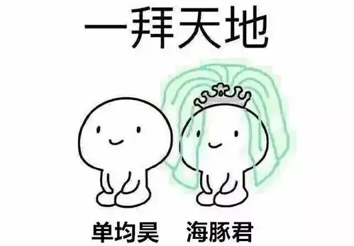 偶像剧经典款,我不相信你不认识他
