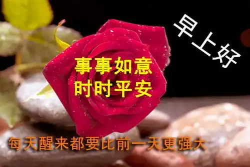 早安,幸福,是自我创造的甘露,是理想化为现实的满足,早上好祝福图片

