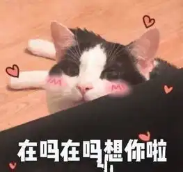 十条笑话放假了没事和同学出去玩玩,不许出国
