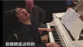 郎朗钢琴教学视频走红小孩最后学会了东北话被钢琴耽误了的表情包

