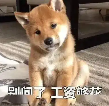 一些比较有趣的拜年表情包
